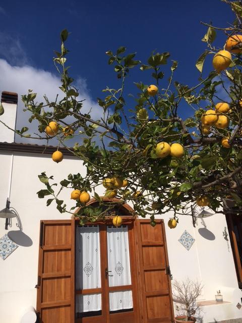 Uliveto House Panzió Castellammare del Golfo Kültér fotó