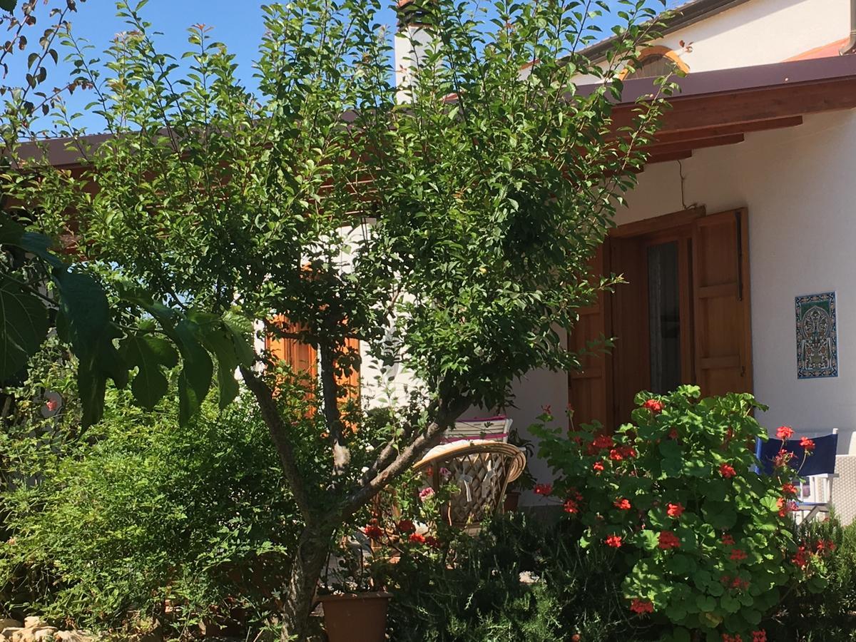 Uliveto House Panzió Castellammare del Golfo Kültér fotó